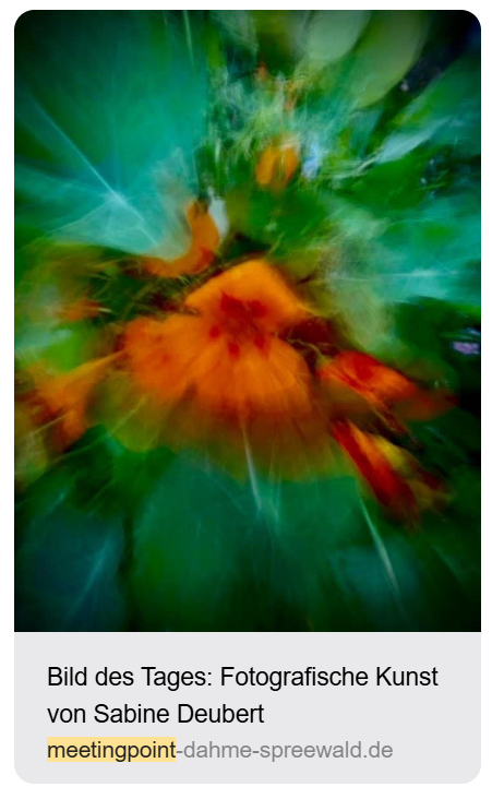 Bild des Tages