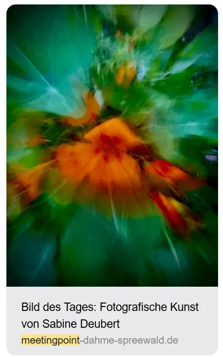 Screenshot der Onlinezeitung Meetingpoint Dahme-Spreewald: „Bild des Tages – Fotografische Kunst von Sabine Deubert“ mit einem abstrakten Blumenfoto in Orange und Grün